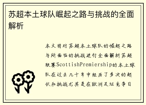苏超本土球队崛起之路与挑战的全面解析